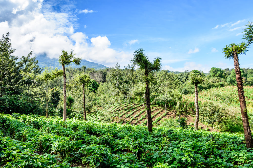 Guatemala - Huehuetenango