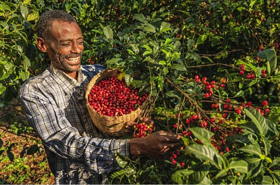 Shakisso - Ethiopia